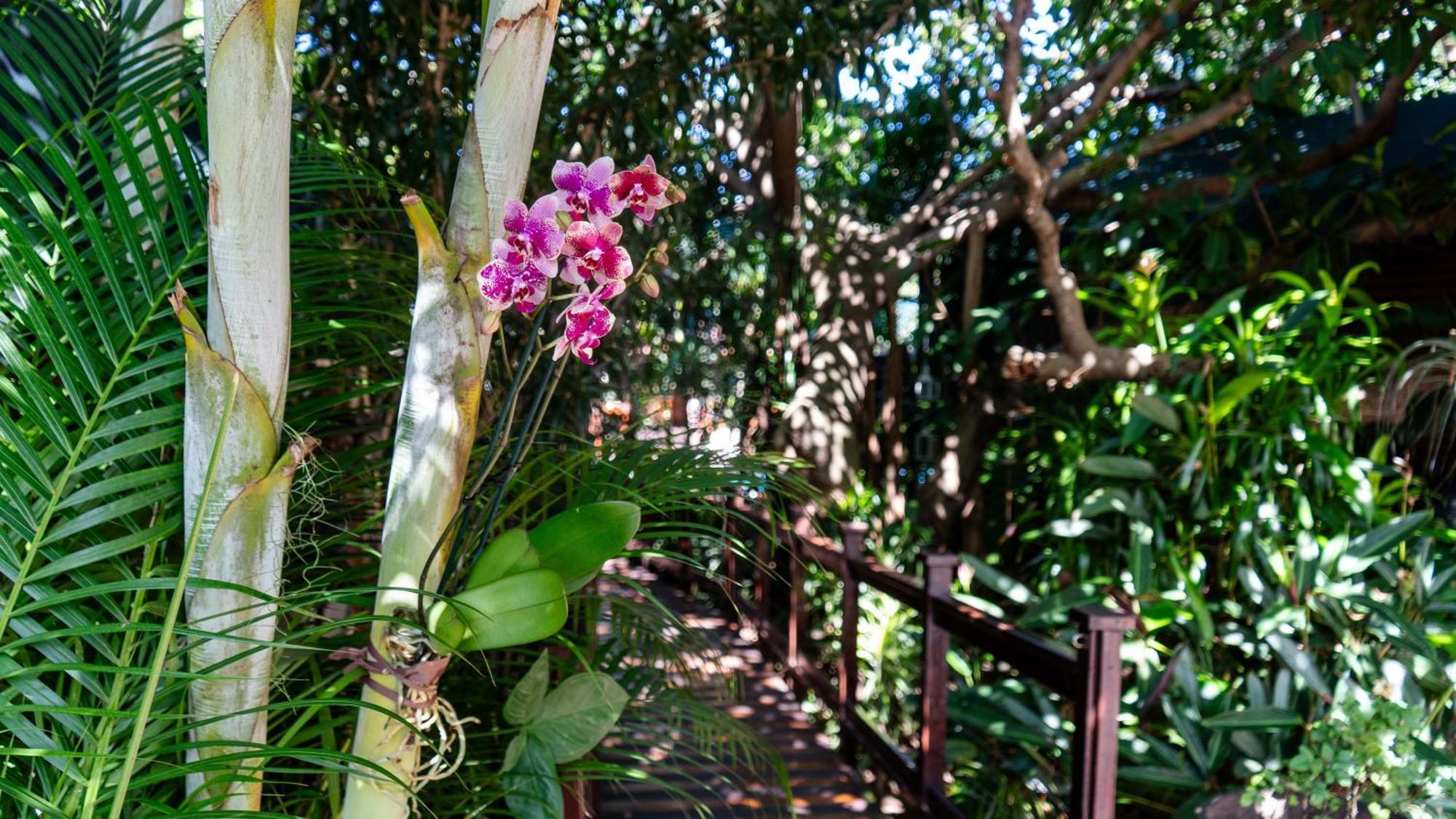 Luxury Tented Village @ Urban Glamping Saint Lucia Estuary Extérieur photo